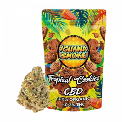 Tropical-Cookies