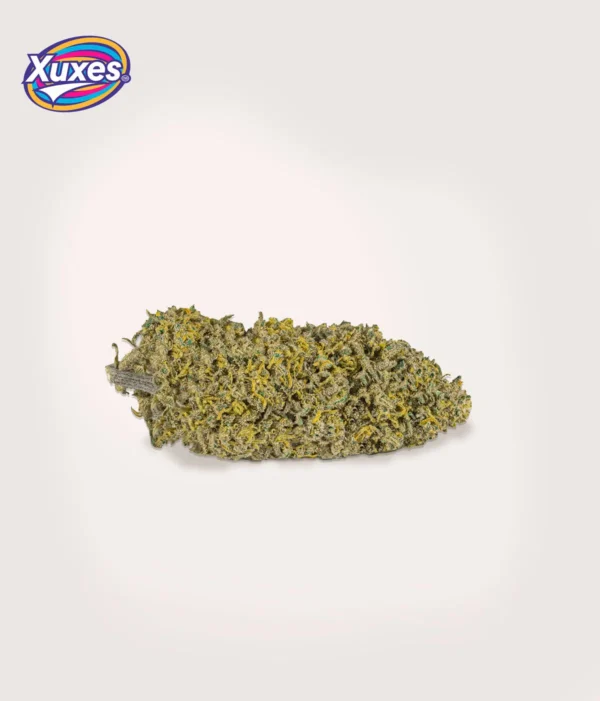 XUXES CBD Amnesia 3g